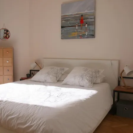 Apartment Le Joffre Nizza